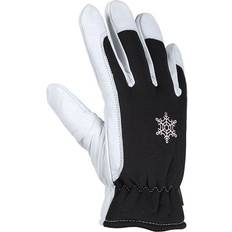 Winter Supreme 3607 CE 10 Glove (197.30)