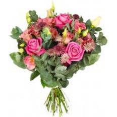 Rosor Snittblommor Flowerhouse.se Praise as a Flower Bud