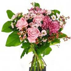 Snittblommor Flowerhouse.se Send The Pretty Pink