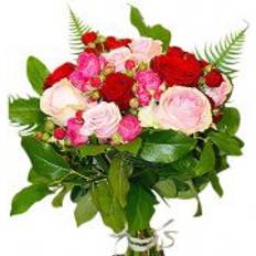 Flowerhouse.se Endless Love as a Flower Bud