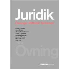 Juridik - civilrätt, straffrätt, processrätt Övningsbok (Häftad)