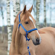 Vaaleanpunainen Hevosen riimut Horze Supreme riimu