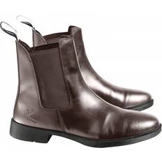 Uomo Scarpe da Equitazione Horze Jodhpurs Signature - Marron