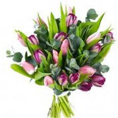 Flowerhouse.se PurplePink Bouquet