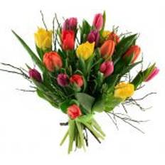 Sippa Snittblommor Flowerhouse.se Orange Spring Bouquet