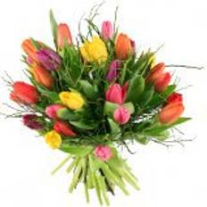 Blommor till begravning & kondoleanser - Tulpaner Snittblommor Flowerhouse.se Tulips in Abundance