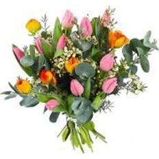 Blommor till begravning & kondoleanser - Tulpaner Snittblommor Flowerhouse.se Colorful Tulips