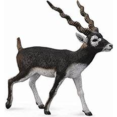 Collecta Blackbuck 88638