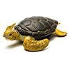 Collecta Loggerhead Turtle 88094