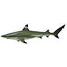 Collecta Blacktip Reef Shark 88726