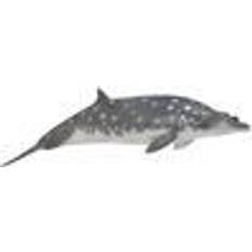 Hav Figurer Collecta Blainville's Beaked Whale 88761