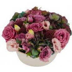 Flowerhouse.se Romantica