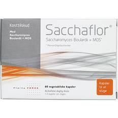 Sacchaflor