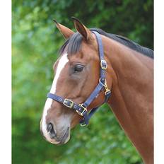 Green Horse Halters Shires Adjustable Halter