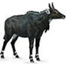 Collecta Nilgai 88764