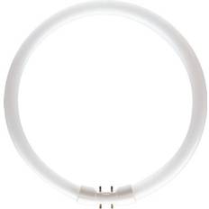 Circular Lámparas Fluorescentes Philips Circulina fluorescente la'mpara tl5 22w d23 warm light tl5c2283