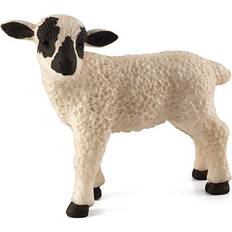 Black Faced Lamb Standing 387059