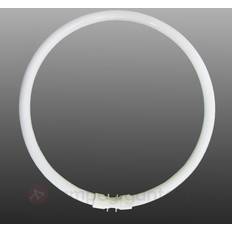 Sylvania 0000524 Fluorescent Lamp 40W 2GX13