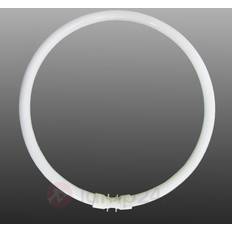 Sylvania 0000527 Fluorescent Lamp 55W 2GX13