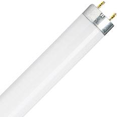 Lampade Fluorescenti Osram Lumilux Interna Energiesparröhre G13 35W warm-weiß Röhrenform