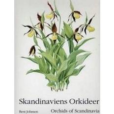 Skandinaviens orkideer (Inbunden, 1997)