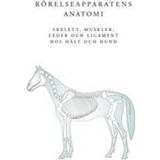 Rörelseapparatens anatomi Rörelseapparatens anatomi: skelett, muskler, leder och ligament hos häst och hund (Spiral)