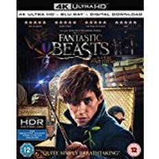 Action & Adventure Movies Fantastic Beasts and Where To Find Them [4k Ultra HD + Blu-ray + Digital Download] [2016]