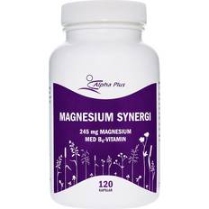 Alpha plus magnesium synergi Alpha Plus Magnesium Synergi 120 st