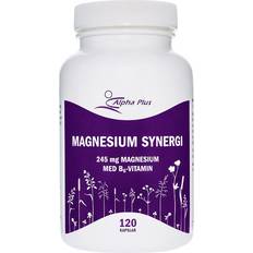 Alpha plus magnesium Alpha Plus Magnesium Synergi 120 stk