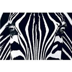 Ideal Decor Murals Black & White I (00684)