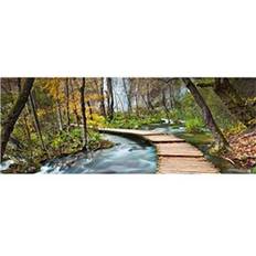 Path The Forest (00436)