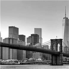 Ideal Decor Murals New York (00149)