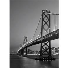 San Francisco Skyline (00387)