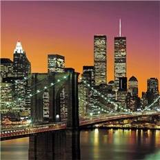 Ideal Decor Murals New York City (00139)