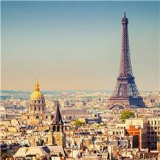 Ideal Decor Murals Paris (00950)