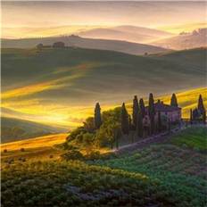 Ideal Decor Murals Toscana (00978)