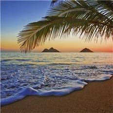 Ideal Decor Murals Pacific Sunrise (00955)