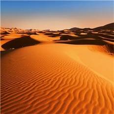 Ideal Decor Murals Desert Landscape (976)