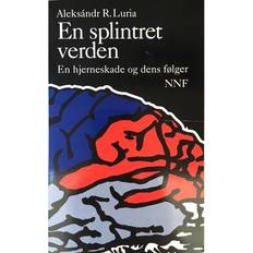 Bøger En splintret verden: en hjerneskade og dens følger (Hæftet, 1996)