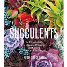 Succulents (Paperback)