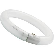 Circular Fluorescent Lamps Sylvania 0001964 Fluorescent Lamp 32W G10q