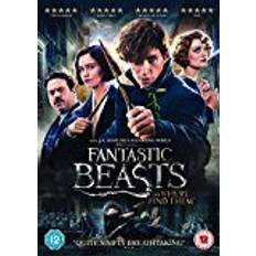 Fantastic Beasts and Where To Find Them [DVD + Digital Download] [2016]