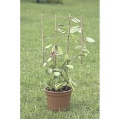 Bamboo Trellis
