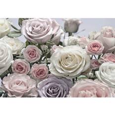 Komar Mural Fotográfico Floraison 368x254 Cm 8-736