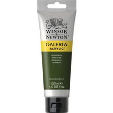 Winsor & Newton Hobbymateriale Winsor & Newton Galeria Acrylic Olive Green 120ml