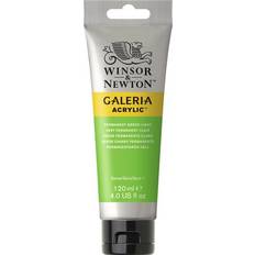 Winsor & Newton Galeria Acrylic Permanent Green Light 120ml