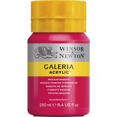 Winsor & Newton Peintures acryliques Winsor & Newton Galeria Acrylic Process Magenta 250ml