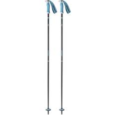 Grijs Afdalings-skistokken Atomic AMT Red Ski Poles