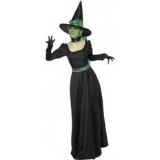 Smiffys Wicked Witch Costume 33134