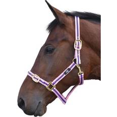 Hy Equestrian Soft Webbing